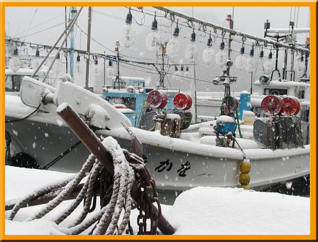 雪の竹野港